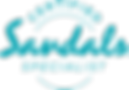 1. CSS Logo (1).png