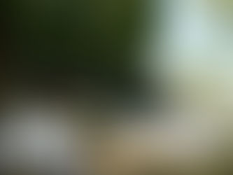 Une cérémonie laique éco-responsable créée et imaginée par Souffle de Bonheur