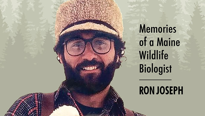 Bald Eagles, Bear Cubs and Hermit Bill (Signed Copy)