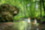 Walk_Your_Senses_(hires)_©_Pierre_Weber_01.jpg