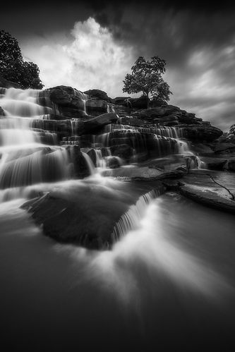 mukka bnw-1_Lowres.jpg