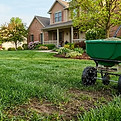 overseed-lawn_edited.jpg