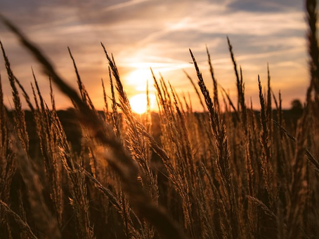 Simple Mental Health Habits for Summer: Feel Better, Not Just Busier