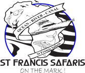 PNG Logo (1).png