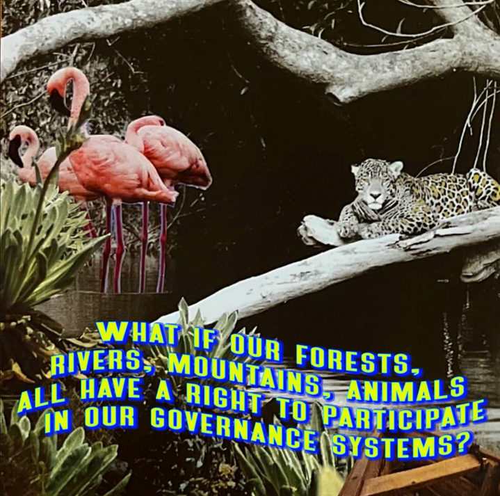 What if our forests, rivers, mountains, animals, all have a right to participate in our governance systems?