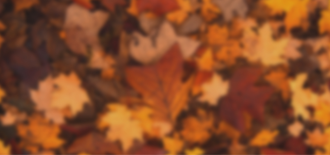 REVISED October Rate Promotion copy.png