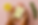 273DC34E-EC63-4C12-8F38-BE7F107C7921.png