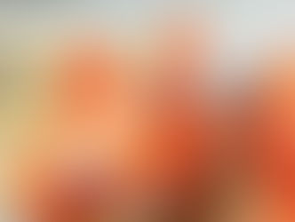 守宮機器人 STEAM 跨領域課程