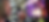 Gemini_Generated_Image_buc64rbuc64rbuc6.png
