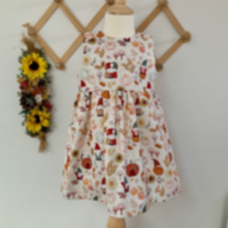 Girls Sleeveless Dress | Autumn Gnomes | 0-10 years