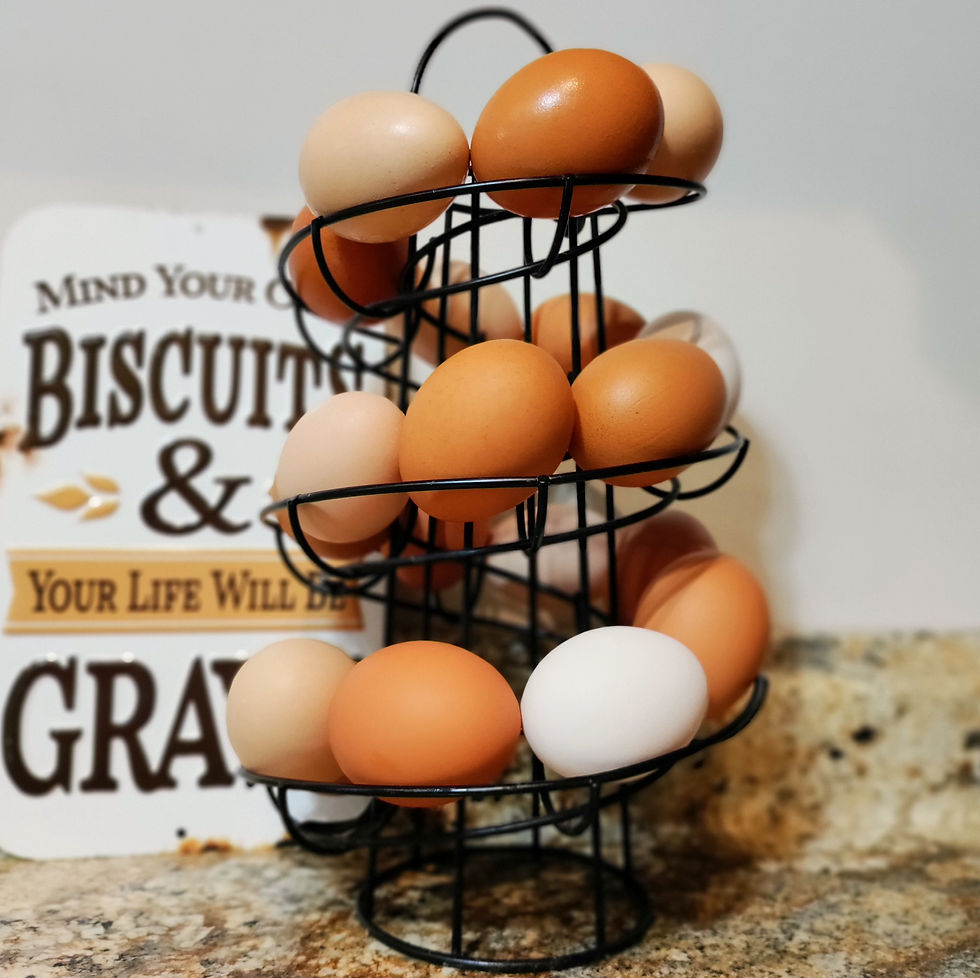 farm eggs on a spiral egg skelter