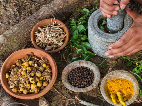 different herbs in bowls