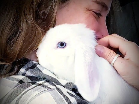 a white bunny being snuggled