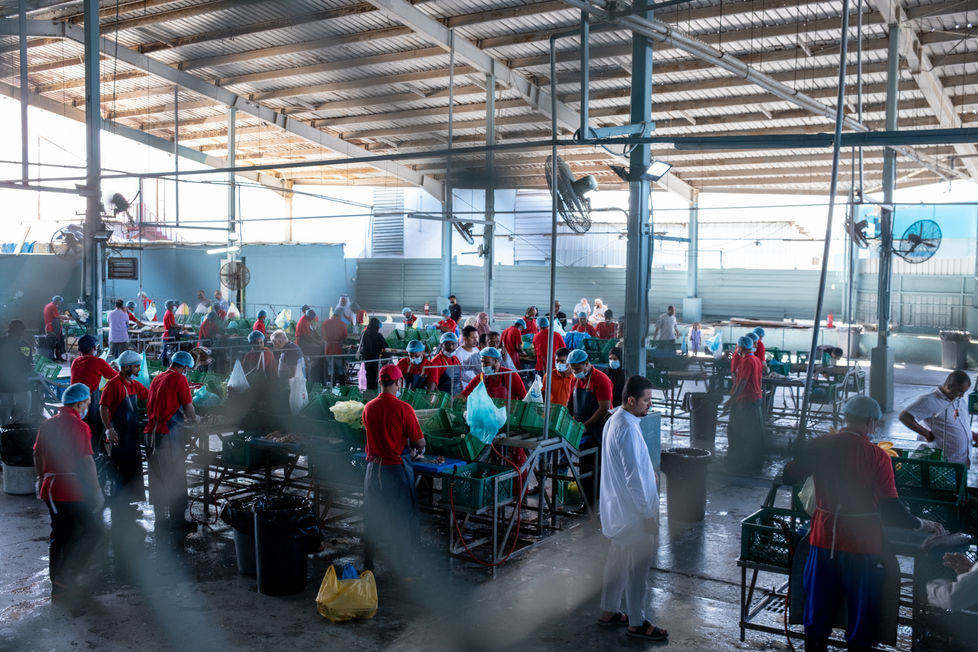 “Factory Flow”, Riyadh, 2025