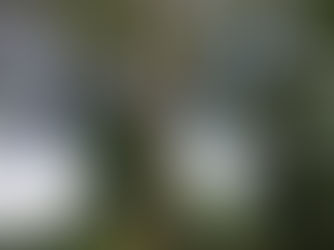 Dangdeur, Kabu Kabu, Randu alas