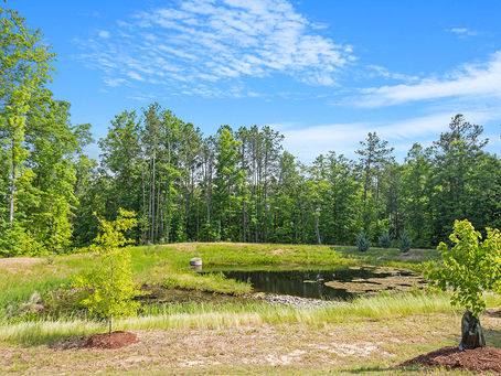 HARDEST THING TO FIND IN CARY/APEX NC?