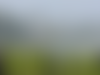 This Sub-Market is Thriving.