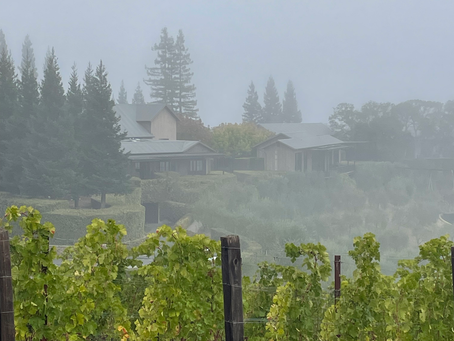 This Sub-Market is Thriving.