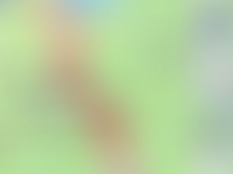 July Market Wrap and Juicy Market Details.