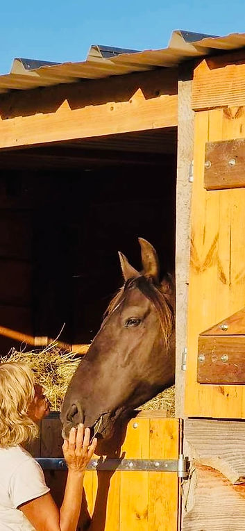 Equine therapy with Laurence Dujardin