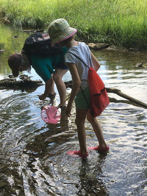 Wild on Wildlife - Half Day Camp