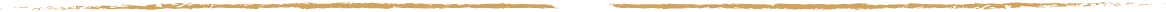 PP-Filet-1166x12.png