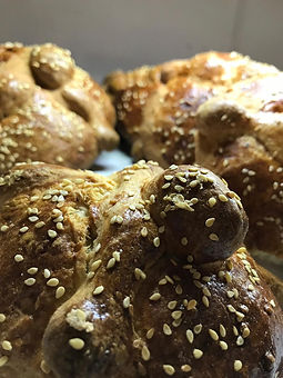 WhatsApp Image 2019-09-25 at 9.23.43 PM.