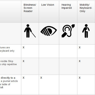         Accessibility Feature Presentations