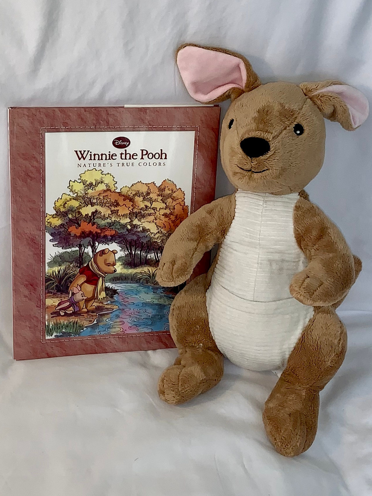 Winnie The Pooh - Nature's True Colors (book) and plush Kanga