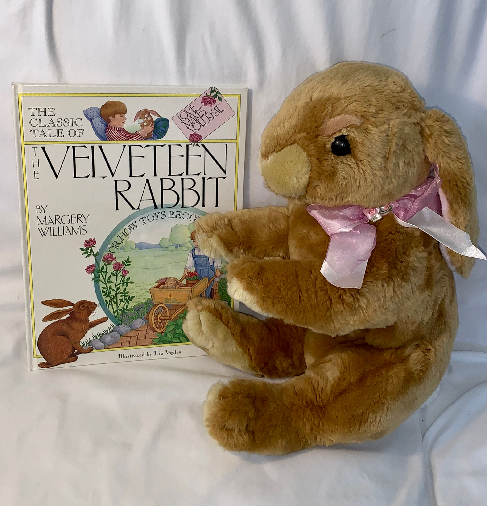 The Velveteen Rabbit (book & plush rabbit)