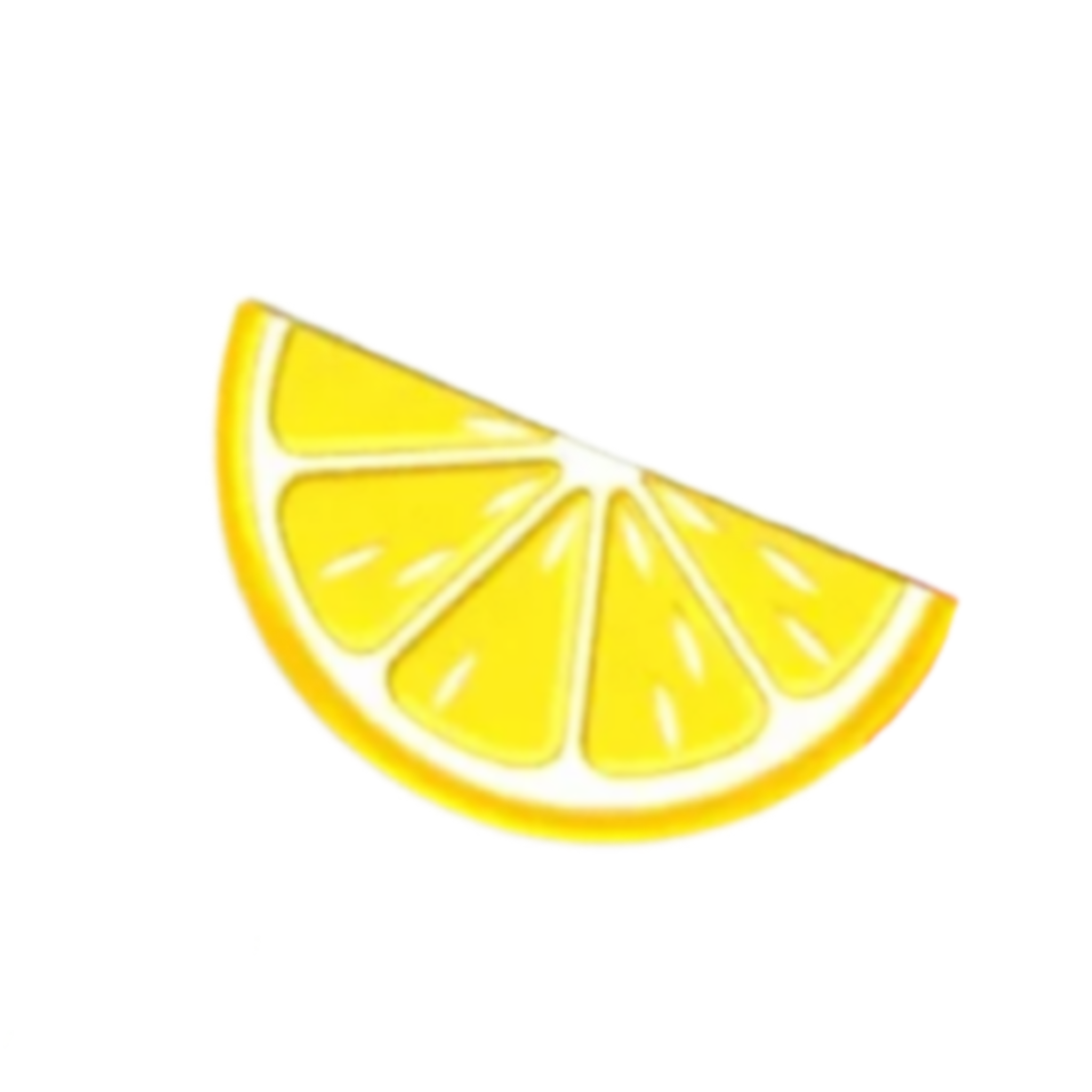 Lemon Slice Magnet