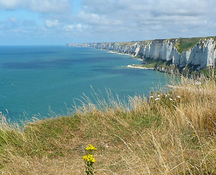 Fécamp_Cap Fagnet_12-08-13 (6).JPG