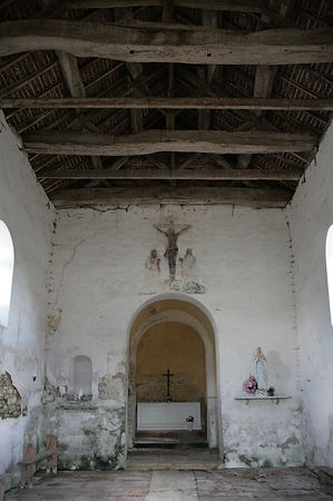IMG_5889.jpg