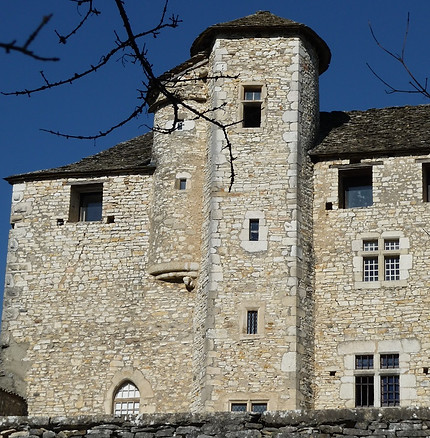 Maison forte de Montagnieu_Soleymieu_23-02-14 (2).jpg