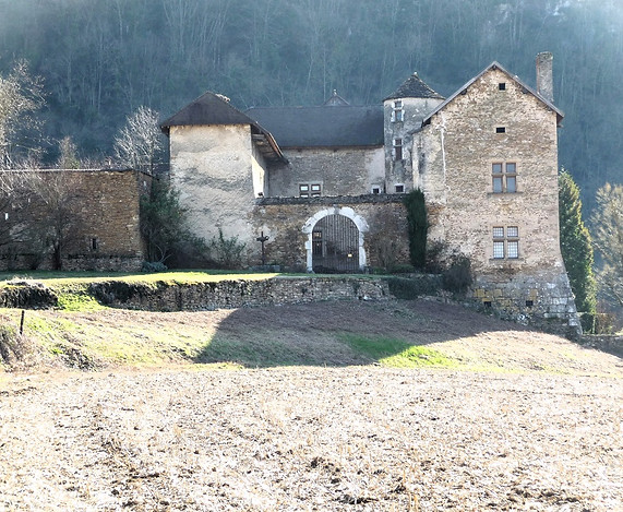 Maison forte de Cingle_Verna_23-02-14 (1).jpg