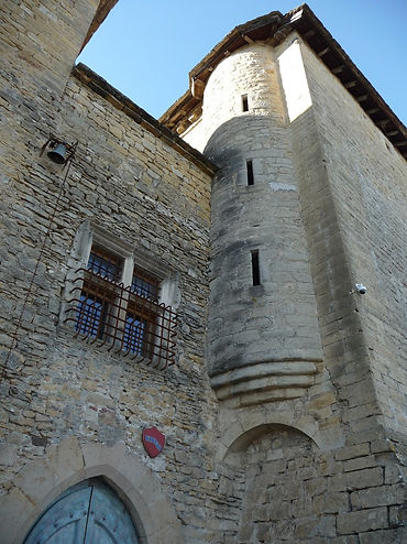Maison forte de Montplaisant_St Hilaire de Brens_23-02-14 (1).jpg