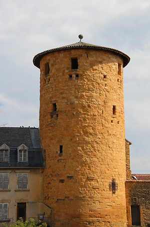 IMG_8875.JPG