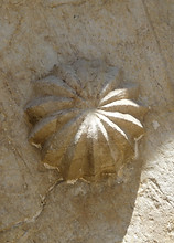 Llo_16-05-15 (11).JPG