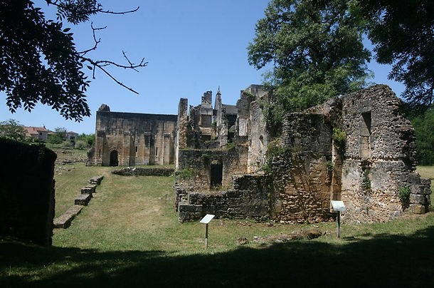 IMG_7215.jpg
