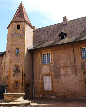 IMG_8906.JPG