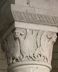IMG_8079.jpg