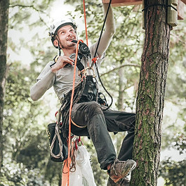 Maintenance pour un accrobranche en France