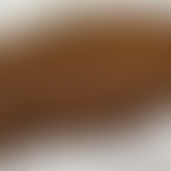 The Little Coffee Bush