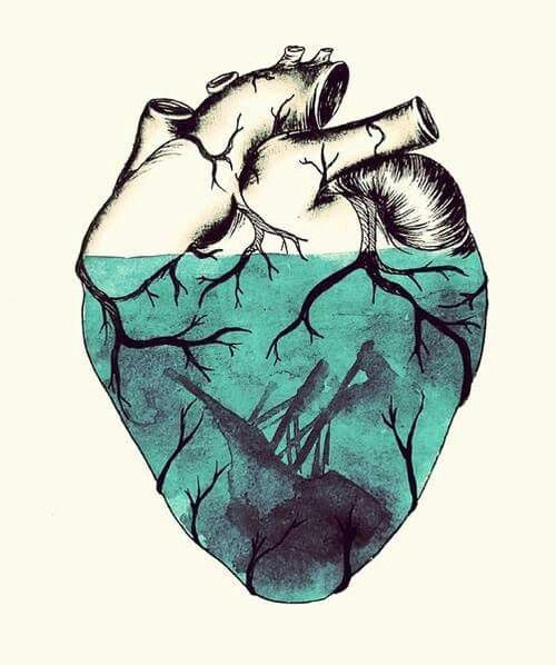 2004351dd9ea7535c05ce090e80c4d6d