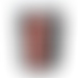 100% WHEY PROTEIN ADVANCED 1,8KG - NEW MILLEN