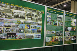 Изображение 247.jpg