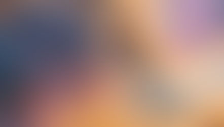 The Healing Path of Holistic Wellness