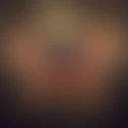 a brown and red moth