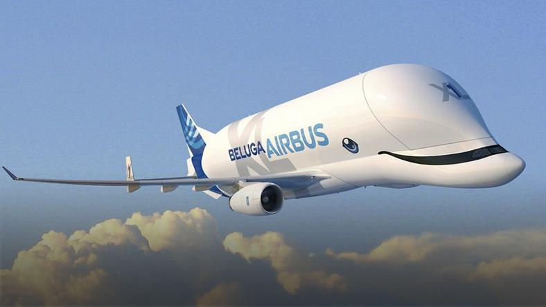 Beluga XL Surfeo