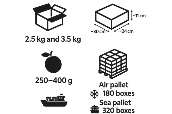 20250715_2300_Cajas para Exportación_simple_compose_01k08p5w4jfjd9ypp4chgpve3p.png